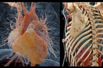 Centre de Radiologie Ennakhil a Beni Mellal